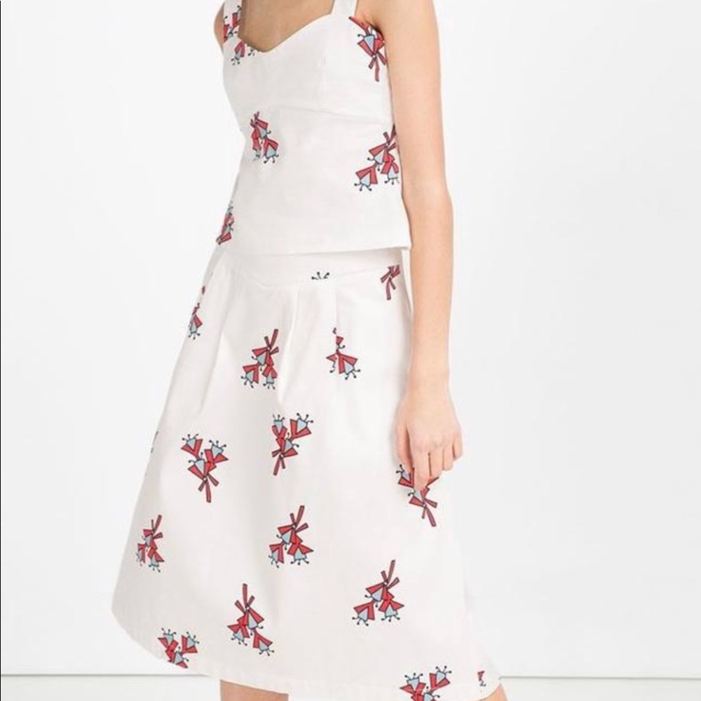 Zara top and skirt
